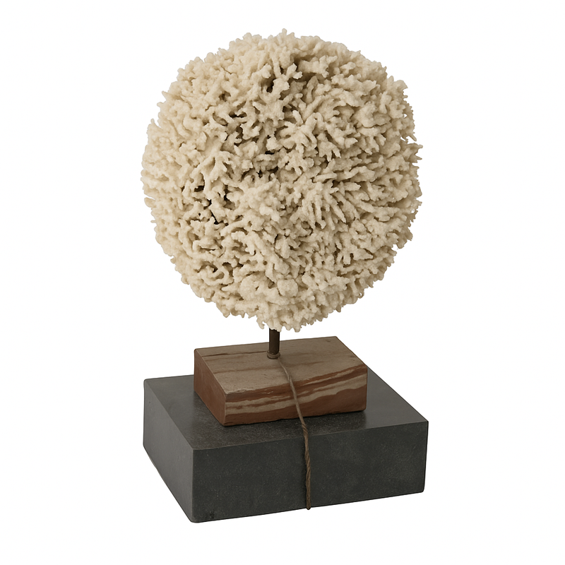 Coral Lamp