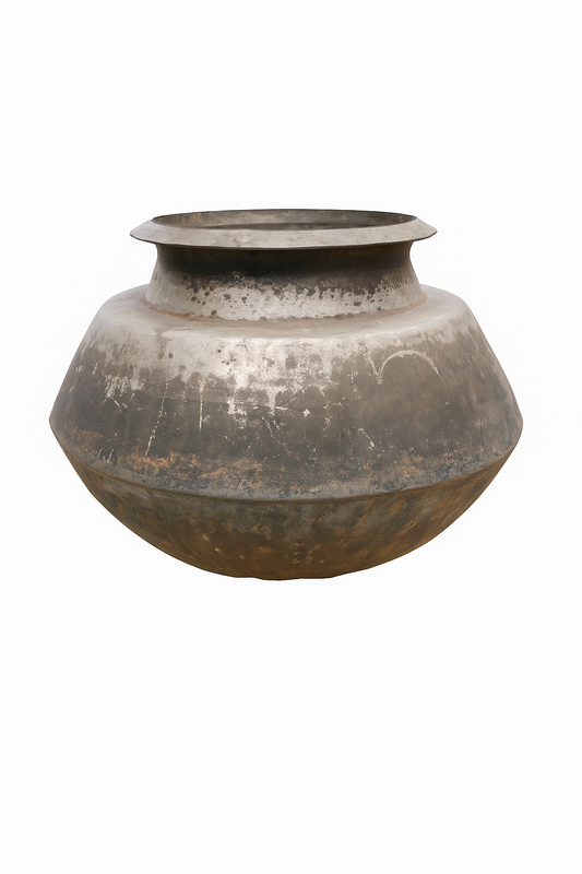 Biryani Pot